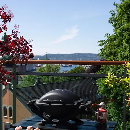 Διαμέρισμα Luxury Penthouse In The Heart Of The Μπέργκεν